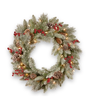 National Tree Company 24in Snowy Bristle Berry Wreath with Battery Operated Led Lights