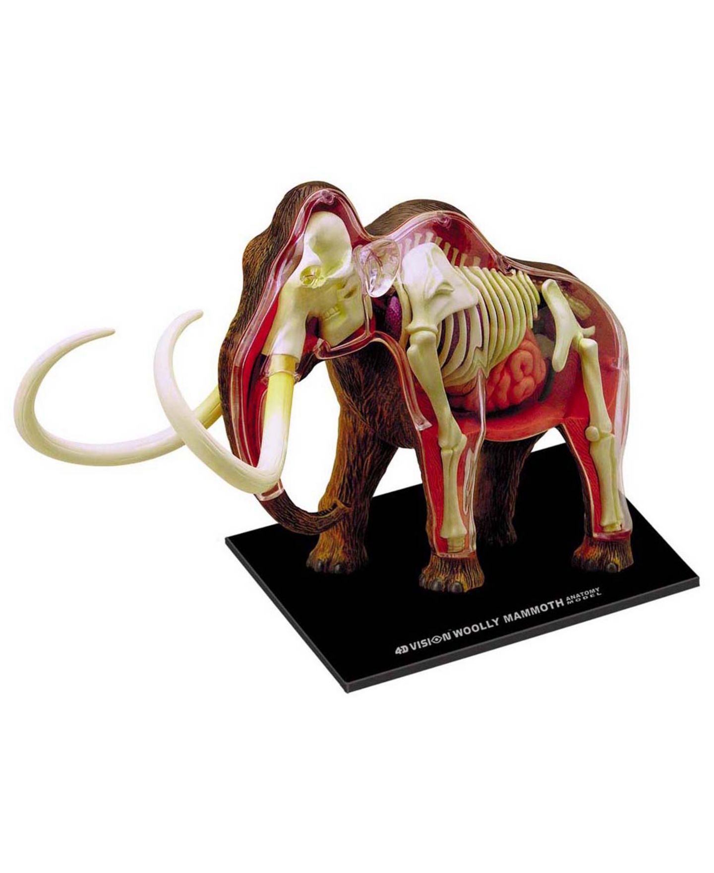 Детские игрушки 4D Master 4D Vision Wooly Mammoth Anatomy 26-Piece Science Kit, Ages 8+ — фото 1