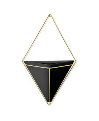 Umbra