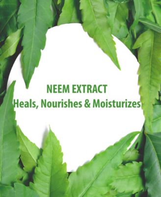 Sundari Neem And Burdock Balancing Cream-Gel Cleanser