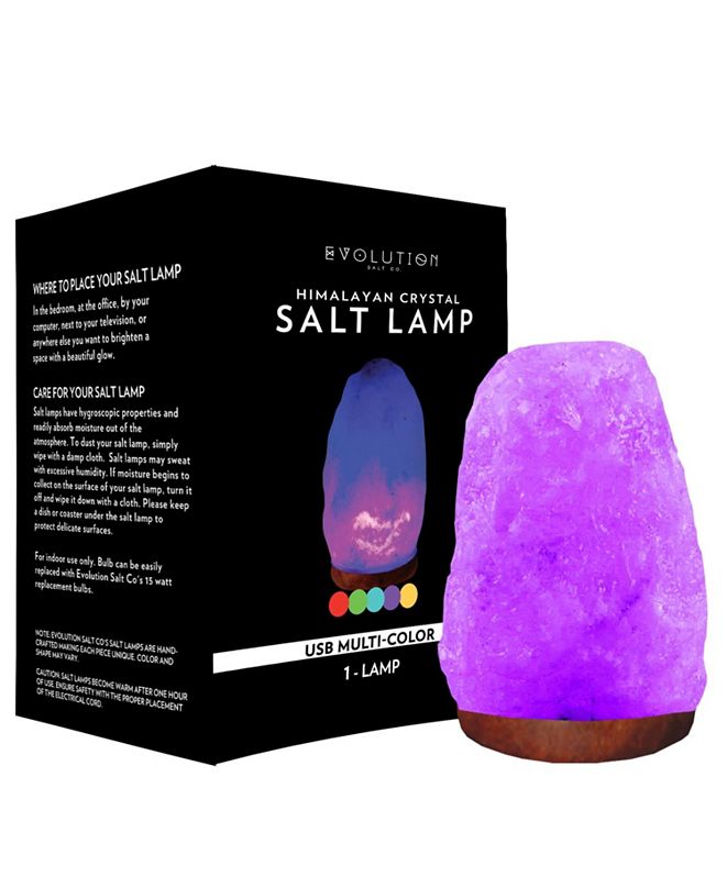 Evolution Salt Co. USB Natural Himalayan Salt Lamp, Multi ...