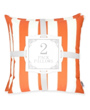 Homey Cozy Olivia Stripe Outdoor Pillow - Set of 2