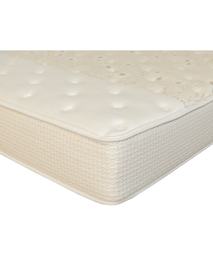 Paramount Nature's Spa by Serenity 14" Cushion Firm Mattress Set Twin