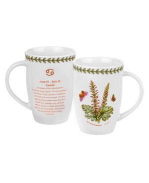 UPC 749151527034 product image for Portmeirion Botanic Garden Cancer Mug Acanthus | upcitemdb.com