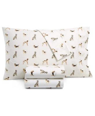 top rated kitten toys