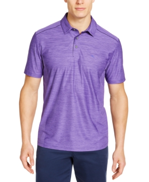 Tommy Bahama Men's IslandZone Palm Coast Polo