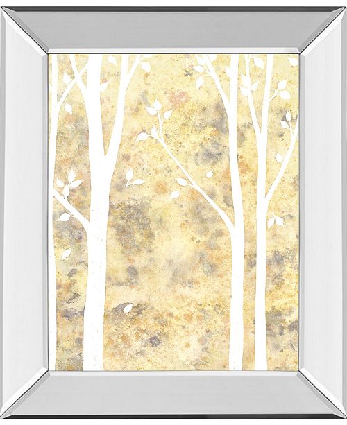 Classy Art Simple State By Debbie Banks Mirror Framed Print Wall