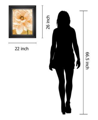 Beautiful Cream Peonies Script by Patricia Pinto Framed Print Wall Art Collection