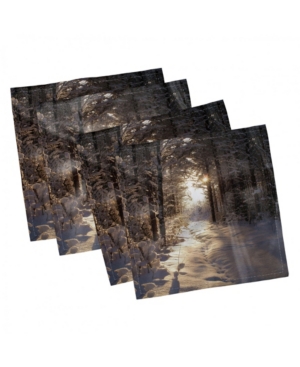 Ambesonne Winter Set of 4 Napkins 12