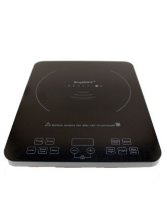 Touch Screen Induction Stove