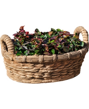 Campania International Provencal Basket Planter In Sand