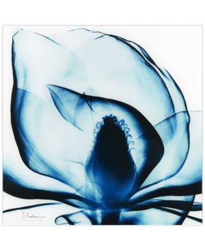 EMPIRE ART DIRECT BLUE MAGNOLIA X-RAY FRAMELESS FREE FLOATING TEMPERED GLASS PANEL GRAPHIC WALL ART, 24" X 24" X 0.2"