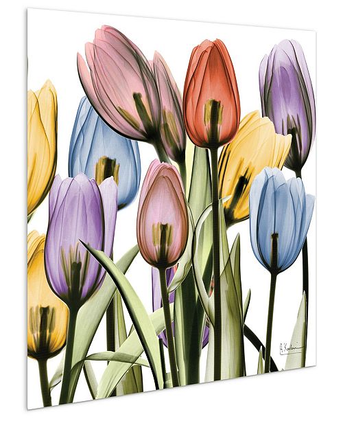 Empire Art Direct Tulip Scape X Ray Ii Frameless Free Floating