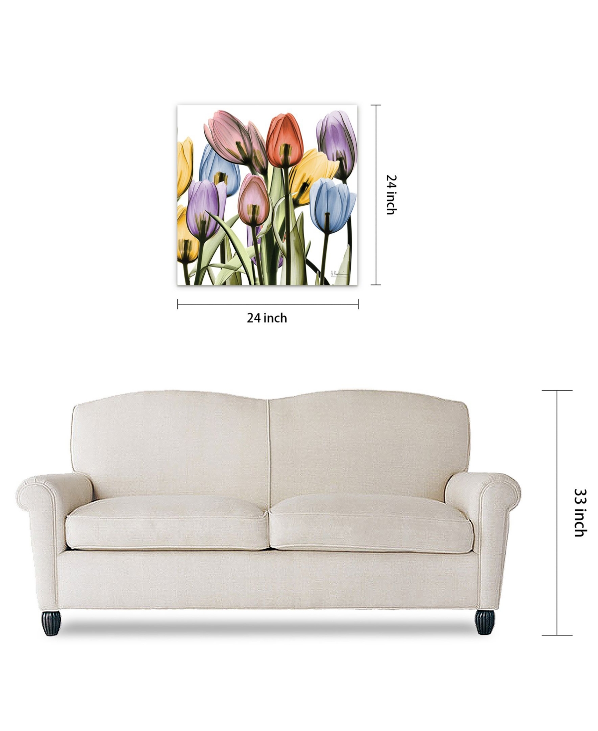 Empire Art Direct Tulip Scape x-ray Ii Frameless Free Floating Tempered Glass Panel Graphic Wall Art, 0.2