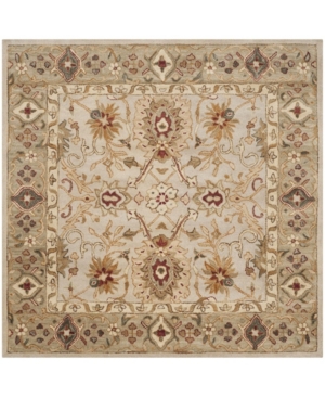 Safavieh Antiquity At816 Gray And Beige 6' X 6' Square Area Rug