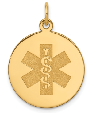 image of Medical Info Charm Pendant in 14k Gold