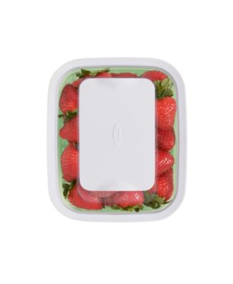 GreenSaver 1.6-Qt. Produce Keeper 