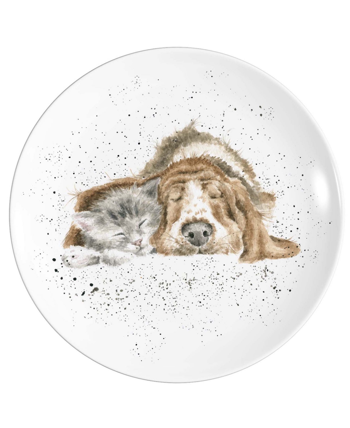 Royal Worcester Wrendale Designs Coupe Plate - Dog And Catnap - White