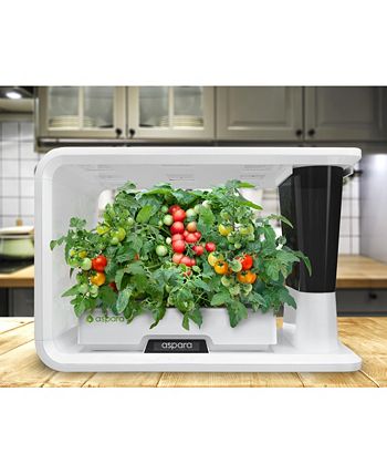Aspara - GS1003-W 16 Hole Removable Reservoir Hydroponic Grower