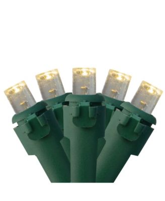 Northlight 300 Warm White LED Wide Angle Christmas Lights - 74.75 ft Green Wire