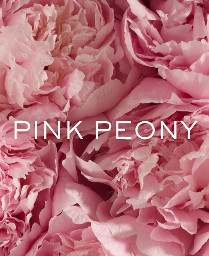 Ralph Lauren Pink Pony Romance Limited Edition, 3.4oz Macy's