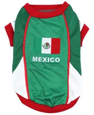 mexico soccer jersey dog