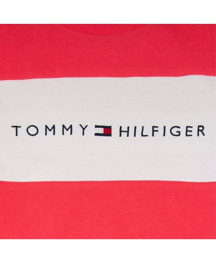 Tommy Hilfiger Little Girls Hilfiger Pieced Crewneck & Reviews ...