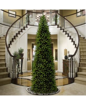 National Tree Company National Tree 14' Kingswood Fir Pencil Tree