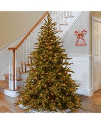National Tree 9' "Feel Real" Frasier Grande Hinged Tree with 1500 Dual LED Lights