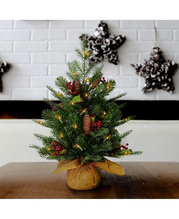 National Tree Company - 2' Feel Real(R) Nordic Spruce Small Tree with Cones & Red Berries in Burlap with 50 Warm White LED Lights wandTimer