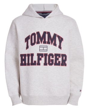 image of Tommy Hilfiger Little Boys Henry Pullover Hoodie