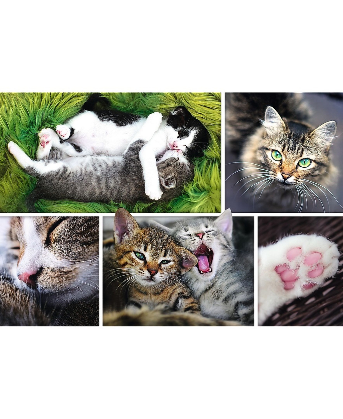 Shop Trefl Jigsaw Puzzle Just Cat Things Collage, 1500 Piece In Multi