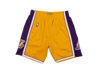 Los Angeles Lakers Nike Youth Icon Edition Mesh Performance Swingman Shorts  - Gold