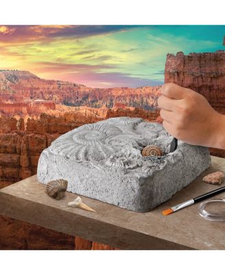 Toy Fossil Excavation Kit, 15 Pieces