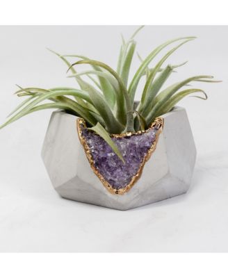 Tal & Bert - Amethyst Geometric Planter
