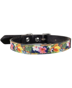 Margaritaville Jungle Parrots Dog Collar, Xsmall In Brown Overflow