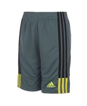Little Boys Clashing 3-Stripes Shorts