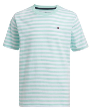Little Boys Tiny Stripe Short Sleeve Tee