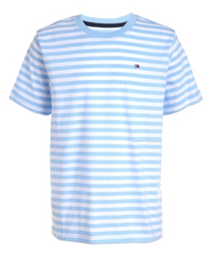Little Boys Tiny Stripe Short Sleeve Tee