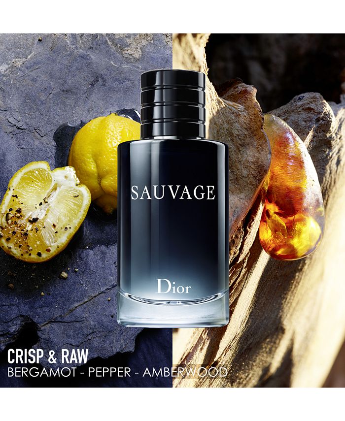 Macy's Receive a Complimentary 5Pc. Dior Fragrance & Beauty Sampler