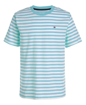 Little Boys Tiny Stripe Short Sleeve Tee