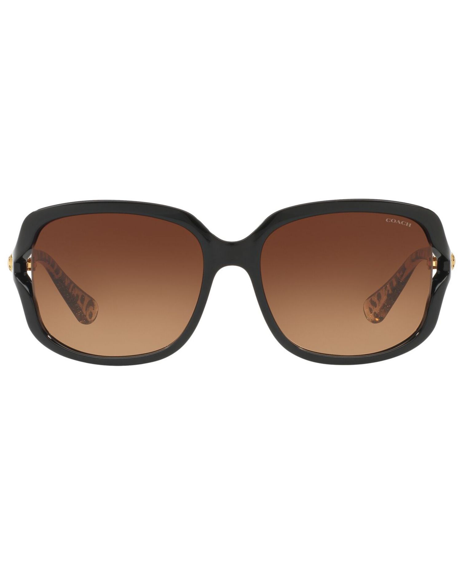 Sunglasses, HC8169