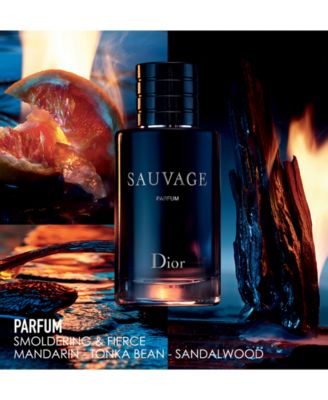 sauvage dior at macy's