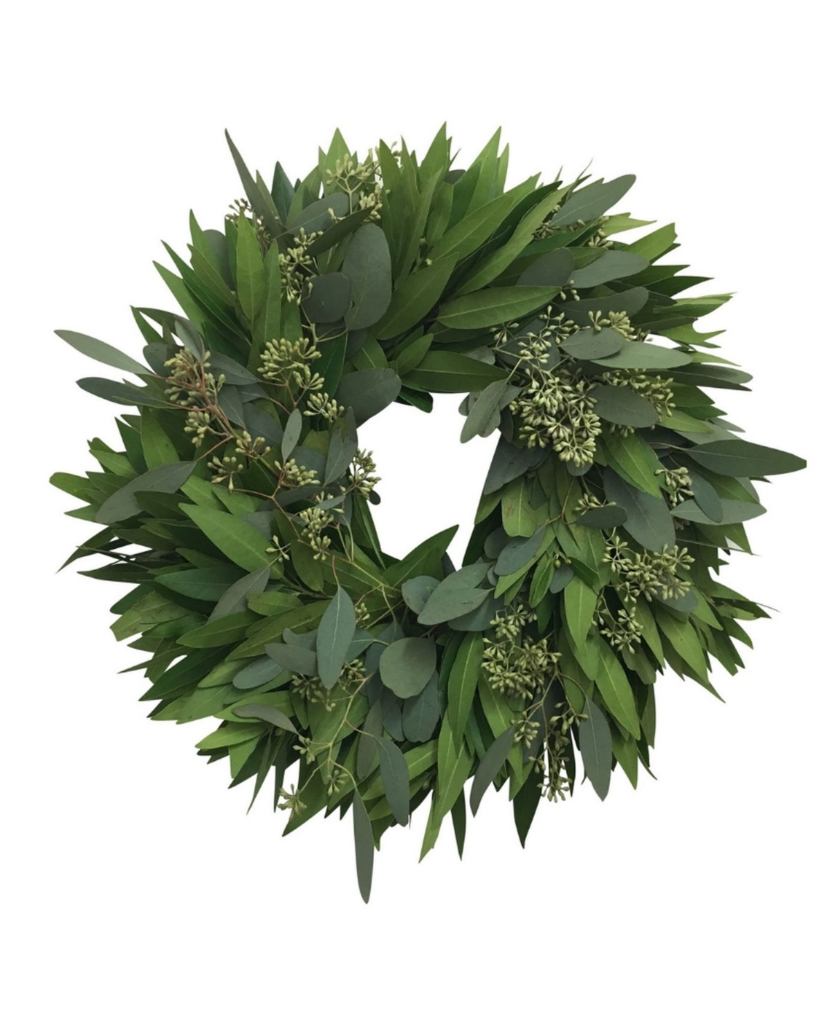 Fresh Bay Leaf and Seeded Eucalyptus Wreath, 20" - Green