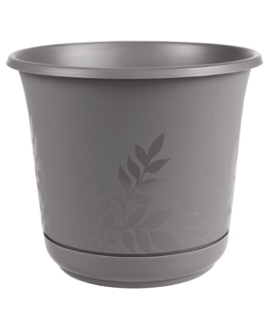 Bloem Freesia Planter with 12