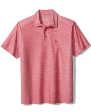 Tommy Bahama Men's IslandZone Palm Coast Polo