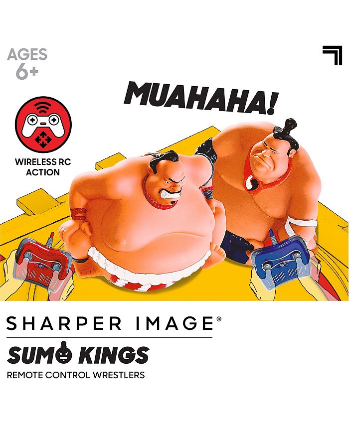 Sharper Image RC Sumo King Wrestling Toy Macy's