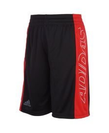 Big Boys Aeroready Training Shorts