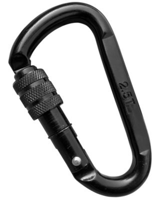 Cast Steel Locking Carabiner Swing Accessory