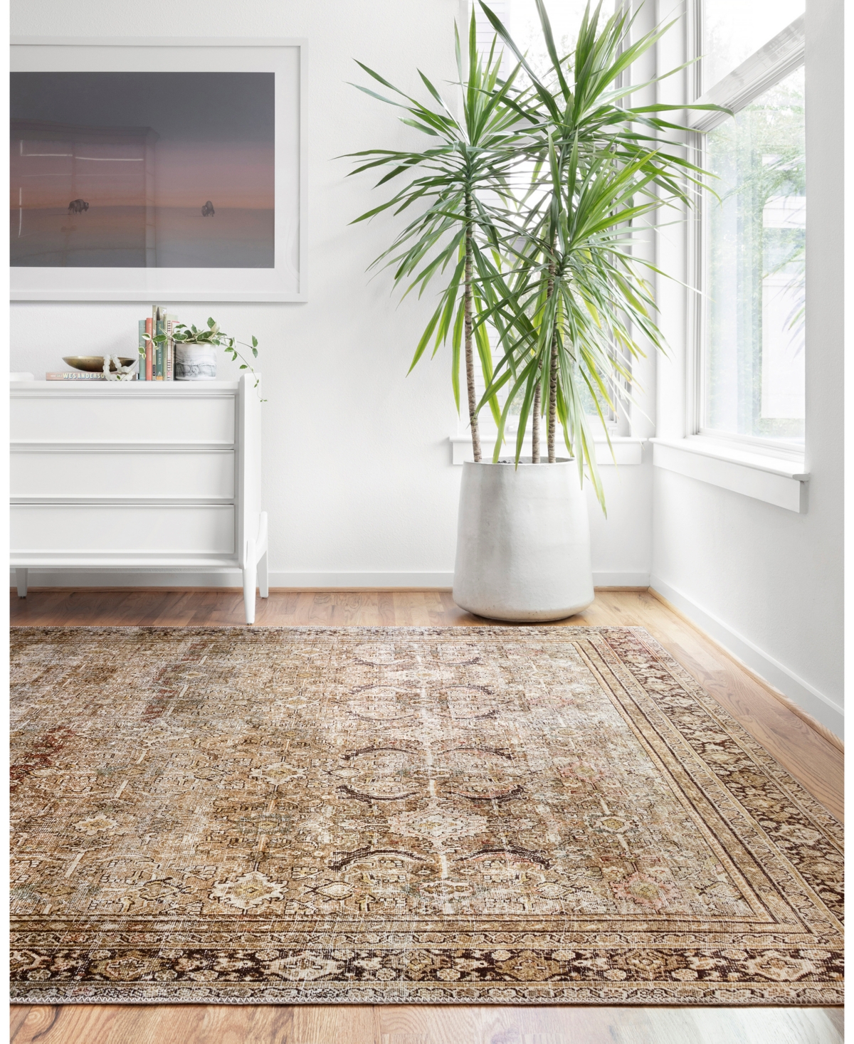 Loloi Ii Layla Lay-03 Area Rug